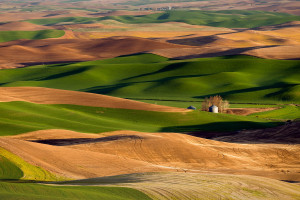 中国网球的青训体系，能否培养出下一个大满贯冠军